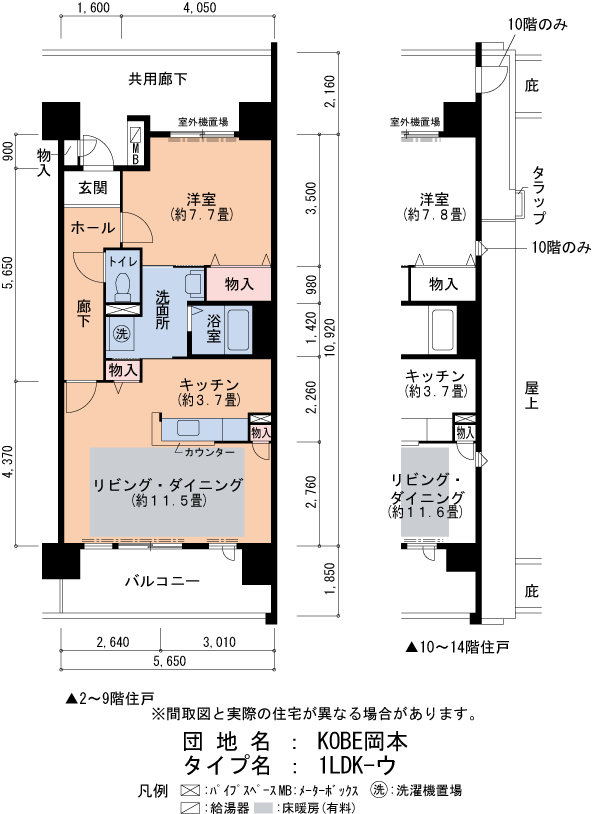 1LDK 間取り図