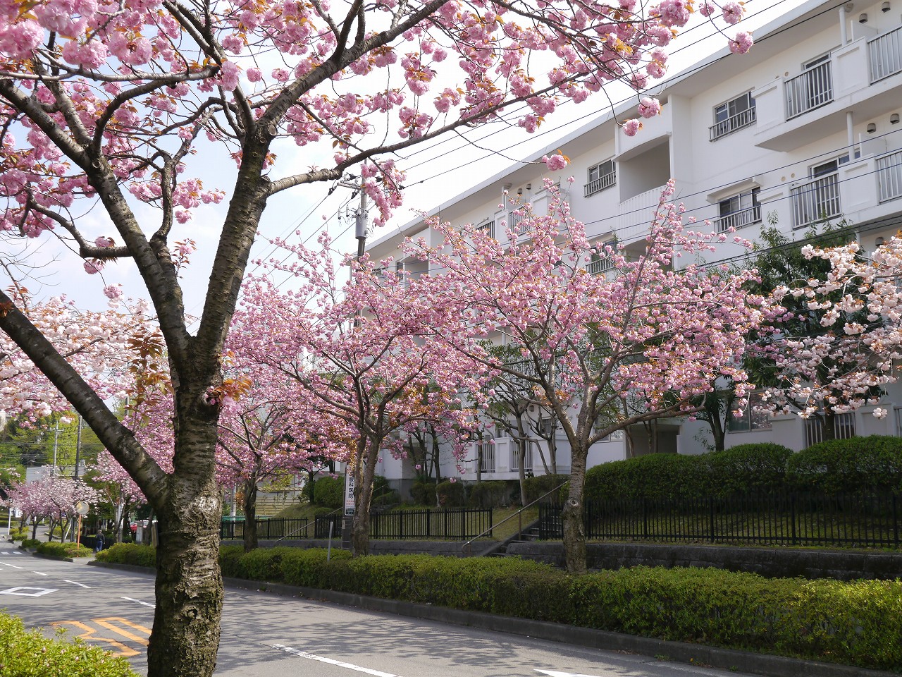 東京都町田市にあるUR賃貸住宅 ニュータウン小山田桜台の周辺写真 2/19