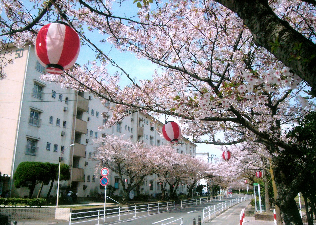 福岡県福岡市早良区にあるUR賃貸住宅 原の周辺写真 4/17