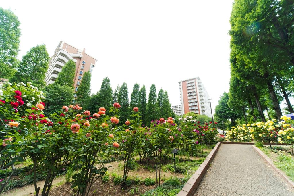 東京都練馬区にあるUR賃貸住宅 光が丘パークタウン 四季の香弐番街の周辺写真 4/14