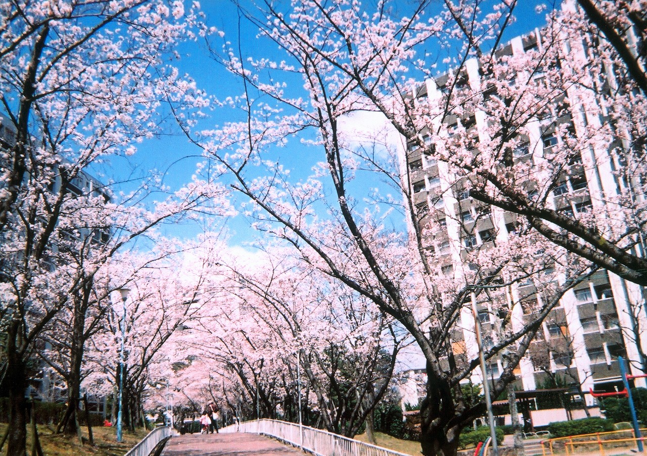 大阪府吹田市にあるUR賃貸住宅 千里竹見台の周辺写真 2/20