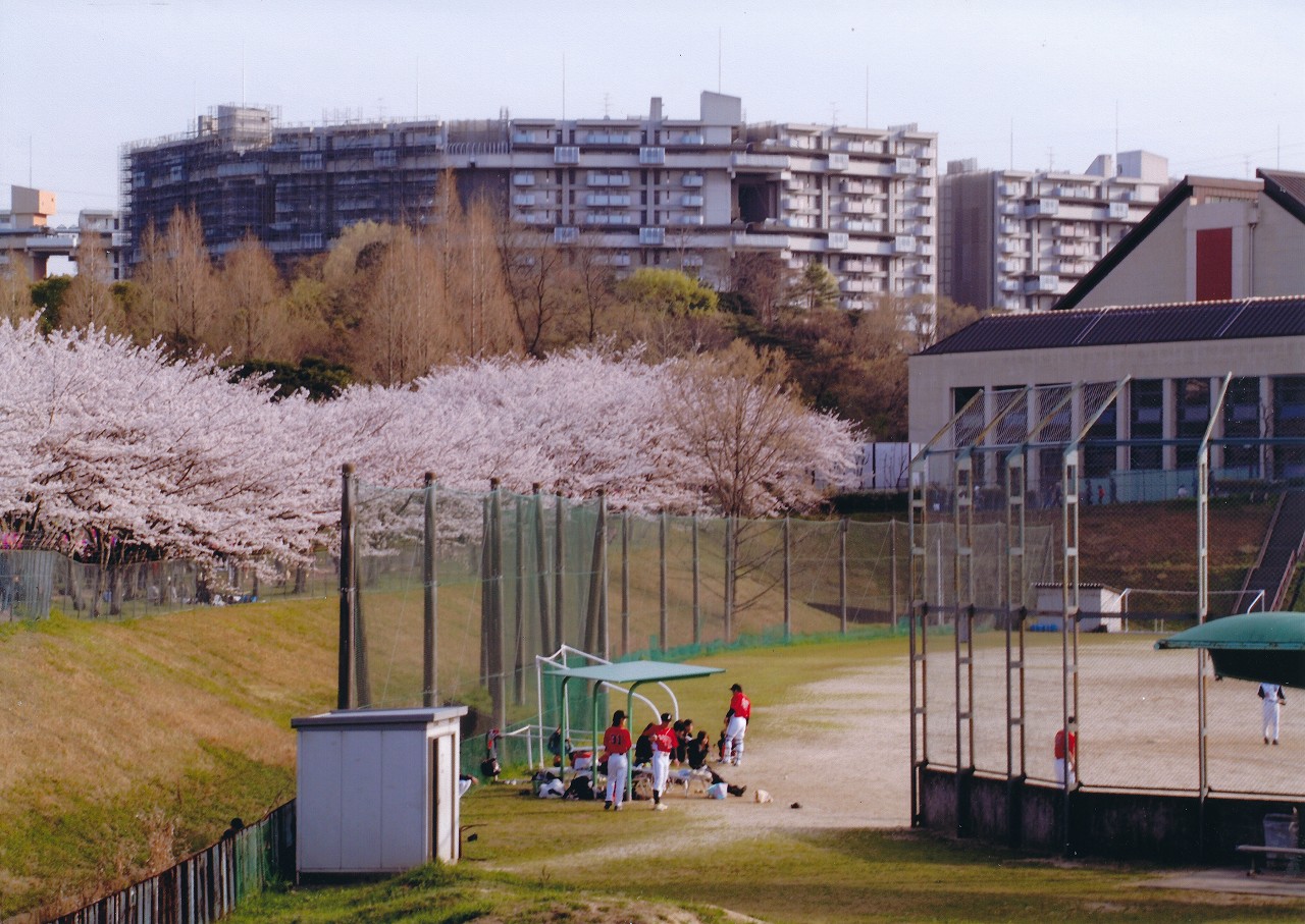 大阪府堺市南区にあるUR賃貸住宅 泉北鴨谷台三丁の周辺写真 4/16