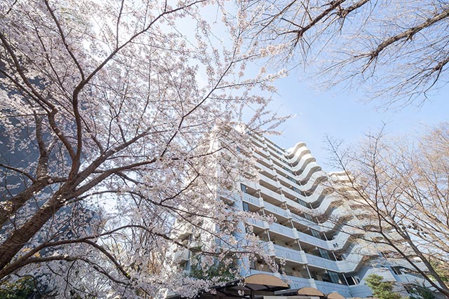 東京都武蔵野市にあるUR賃貸住宅 武蔵野緑町パークタウンの周辺写真 3/7