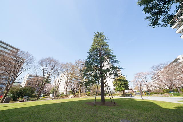 東京都武蔵野市にあるUR賃貸住宅 武蔵野緑町パークタウンの周辺写真 4/7