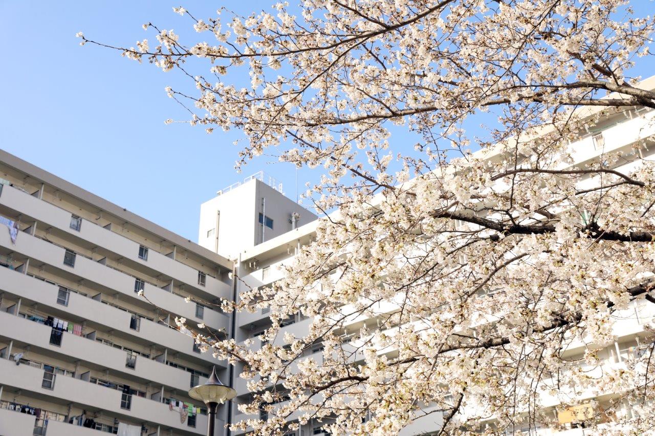 埼玉県さいたま市南区にあるUR賃貸住宅 浦和白幡の周辺写真 2/17