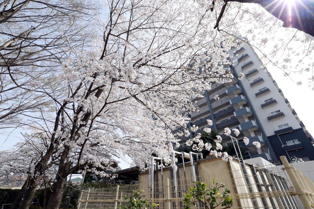 埼玉県川越市にあるUR賃貸住宅 川越ニューシティいせはら リバーサイド弐番街の周辺写真 2/15