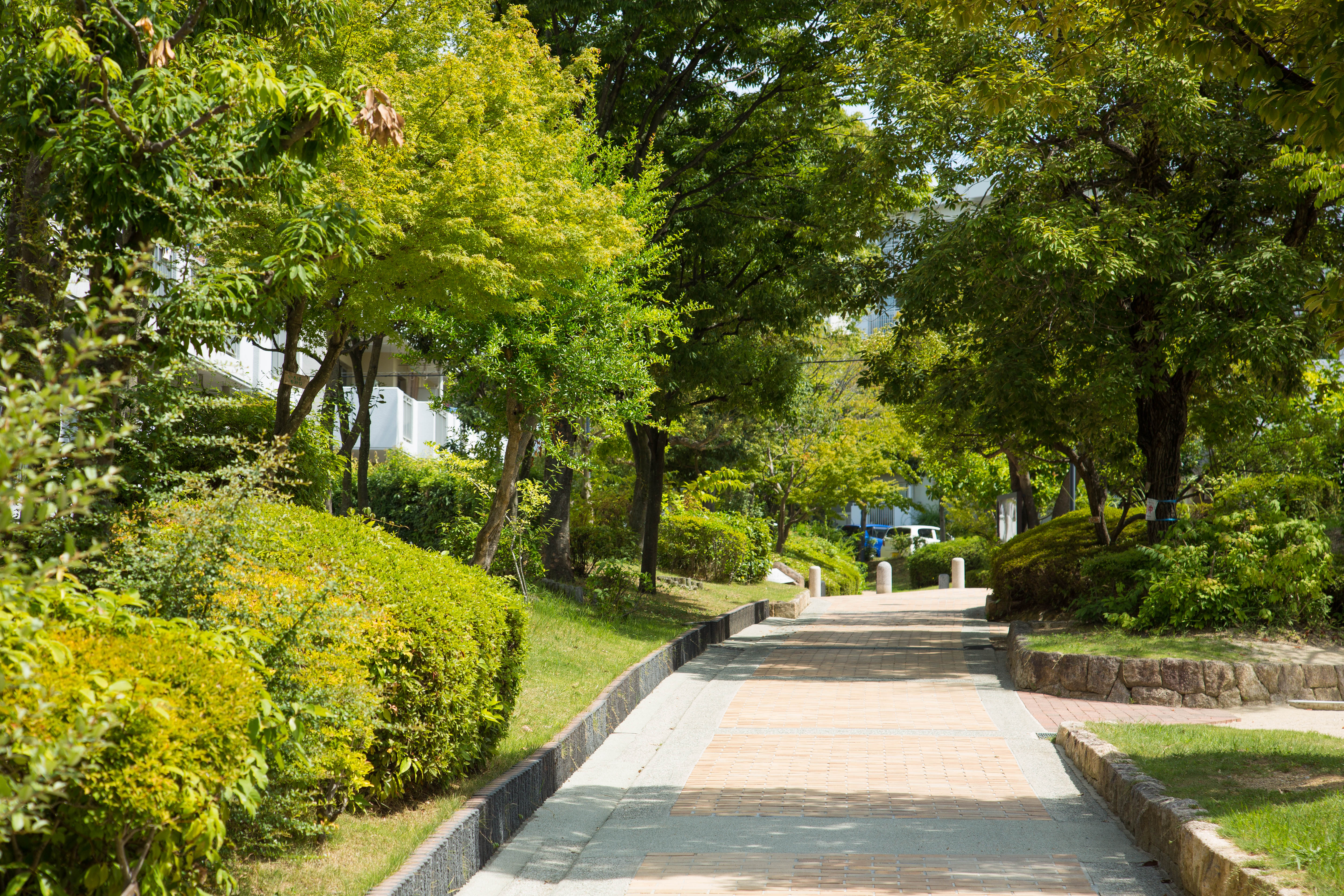 大阪府堺市南区にあるUR賃貸住宅 泉北城山台二丁の周辺写真 4/25