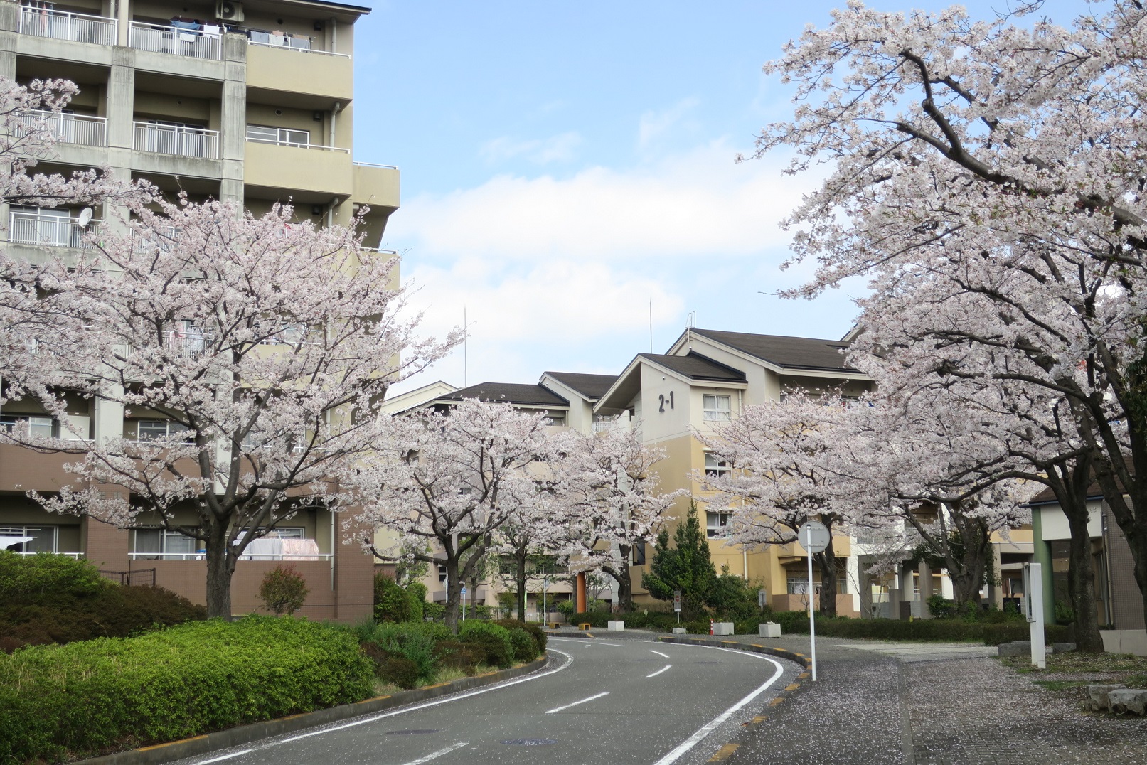 神奈川県横浜市緑区にあるUR賃貸住宅 十日市場ヒルタウン コンフォール十日市場五番街の周辺写真 2/5