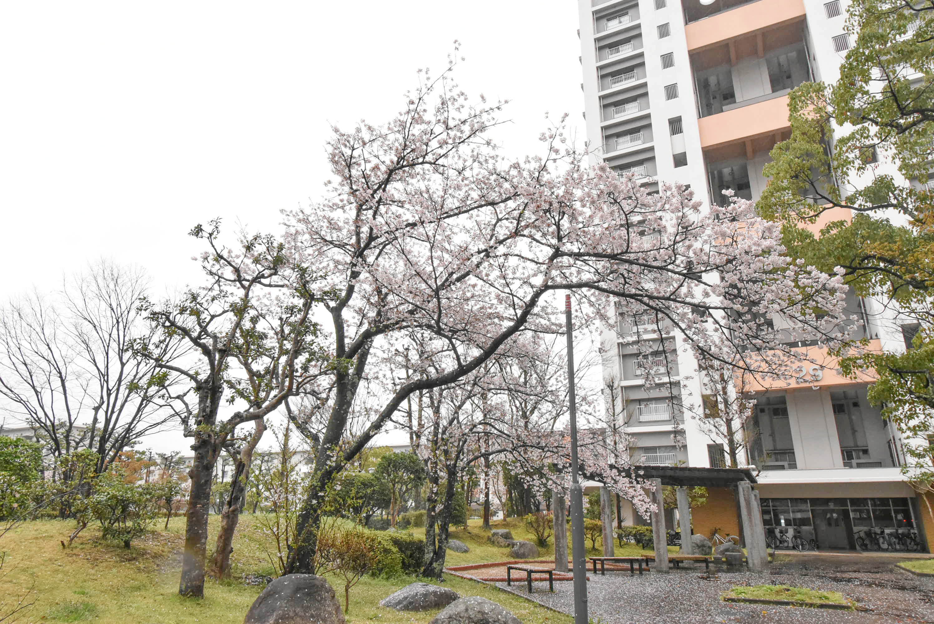福岡県福岡市早良区にあるUR賃貸住宅 四箇田の周辺写真 3/6