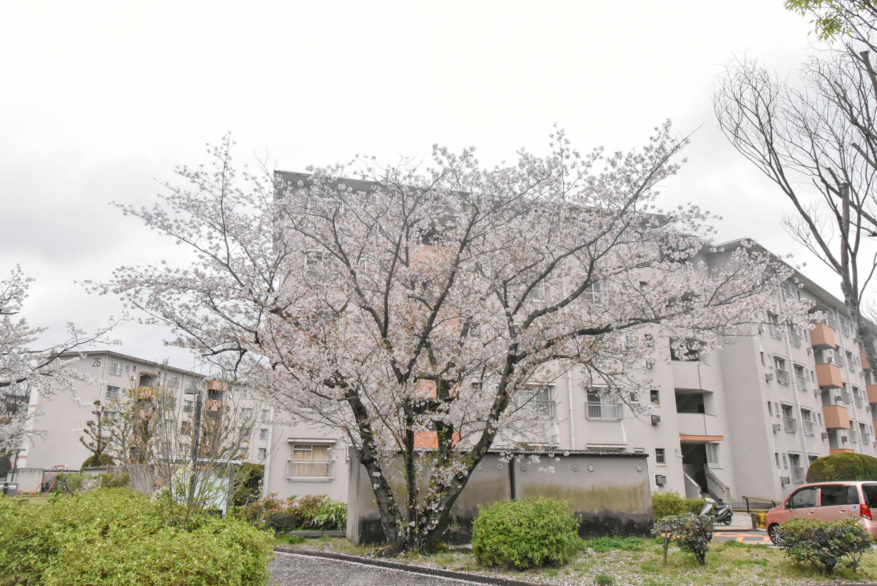 活動歴および当時の関連ビジュアル記録
