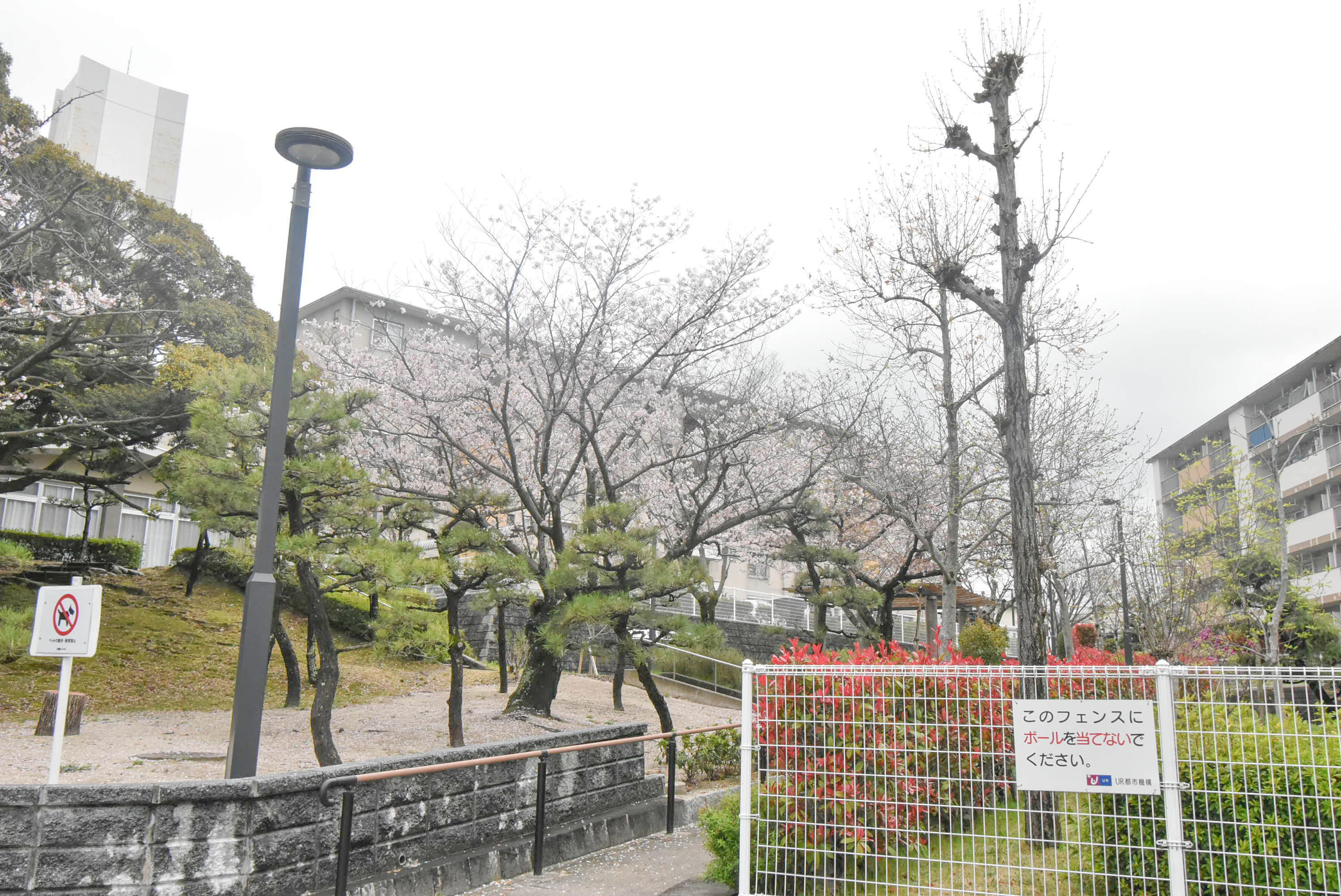 宝台（福岡県）の賃貸物件｜UR賃貸住宅