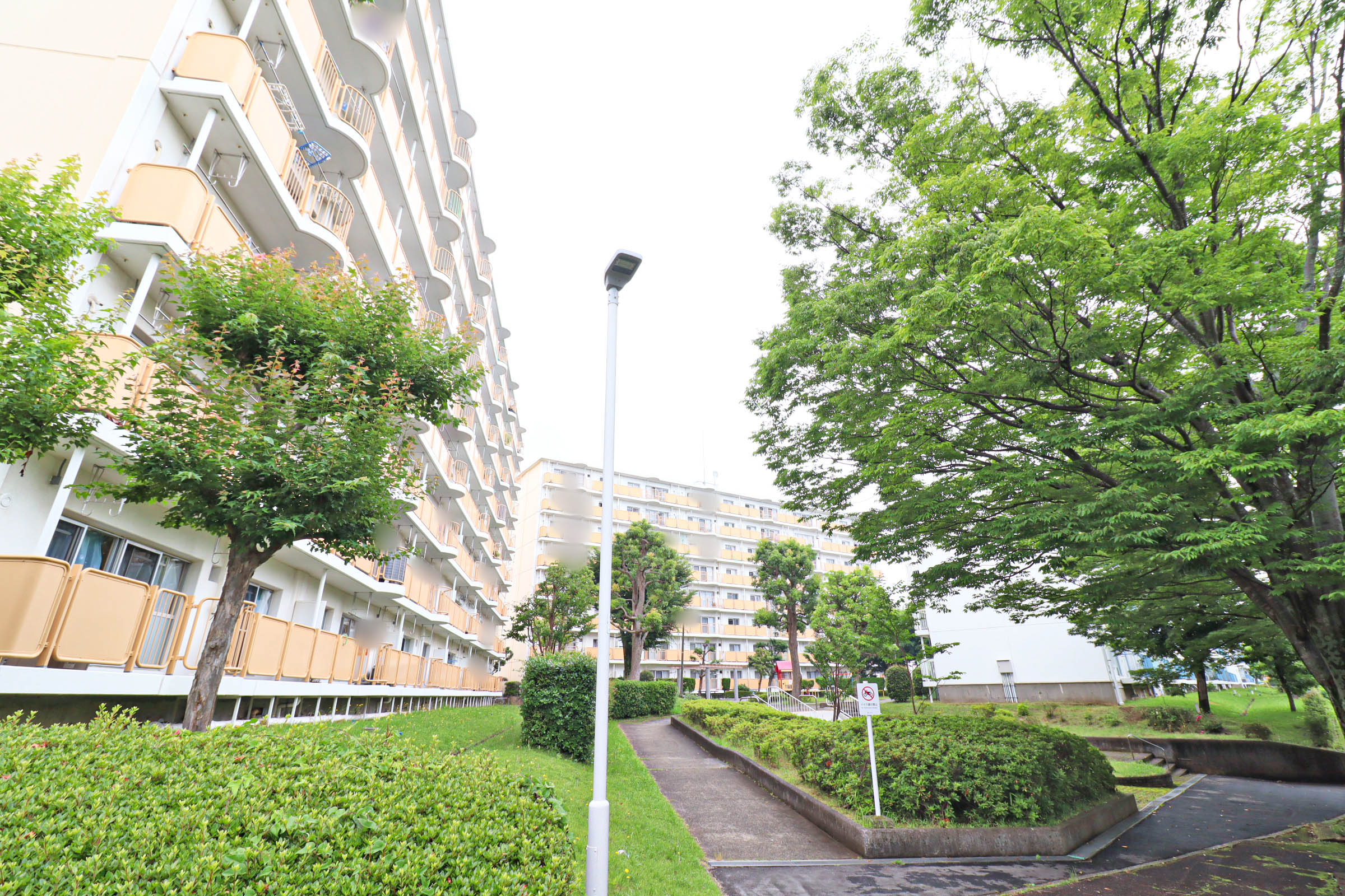 千葉県柏市にあるUR賃貸住宅 大津ヶ丘の周辺写真 2/16