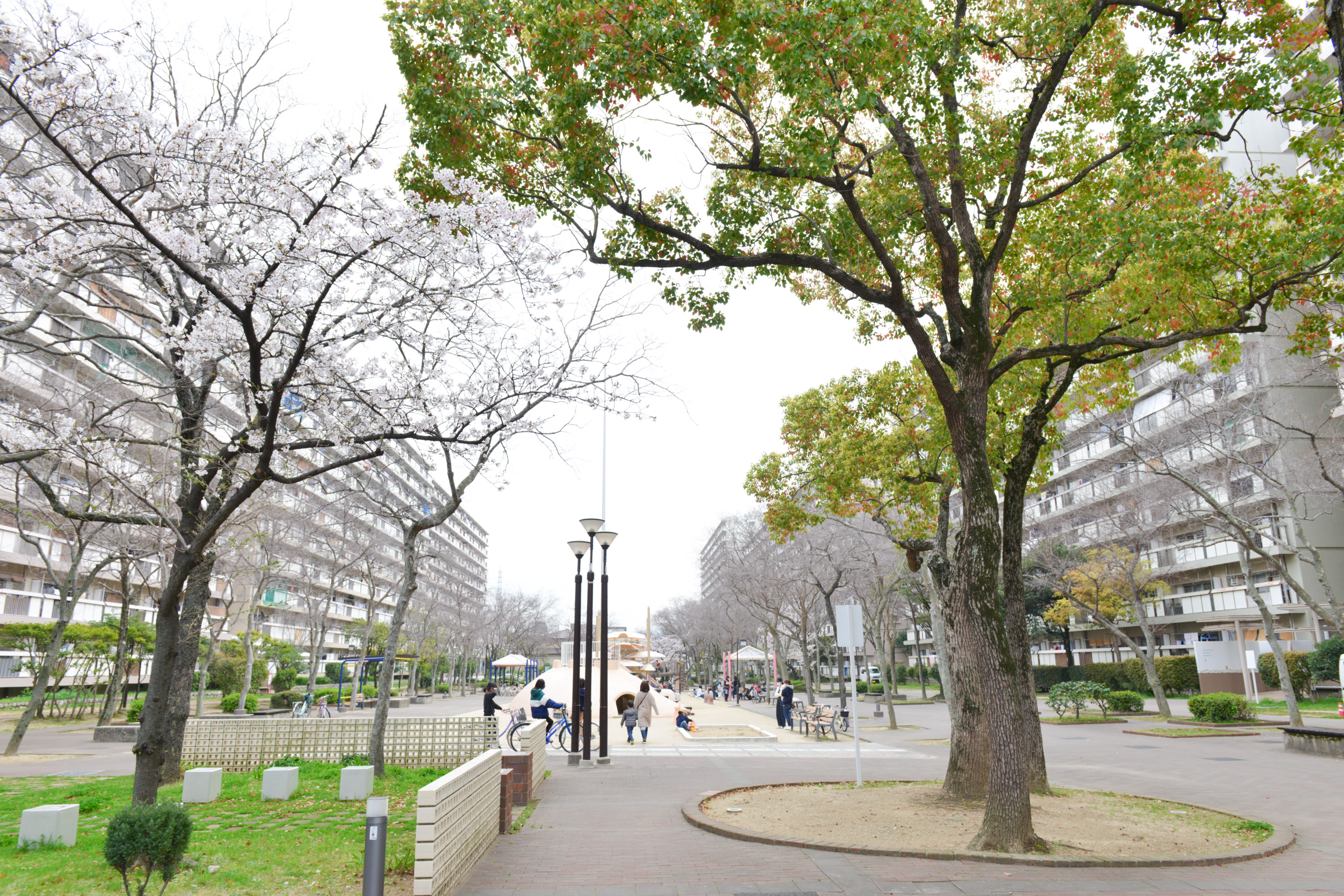 大阪府堺市北区にあるUR賃貸住宅 中百舌鳥公園の周辺写真 4/27