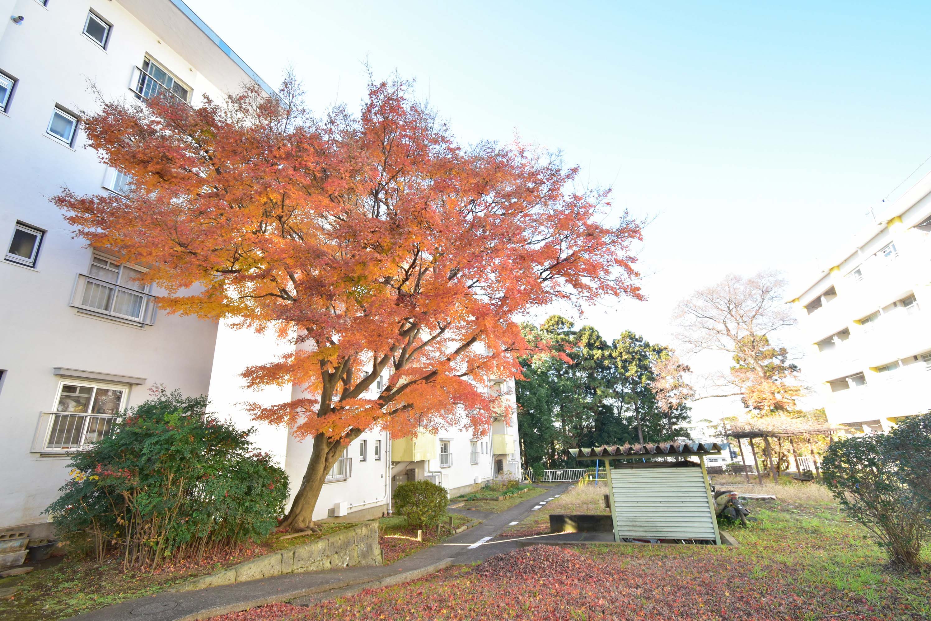 千葉県松戸市にあるUR賃貸住宅 常盤平の周辺写真 3/28