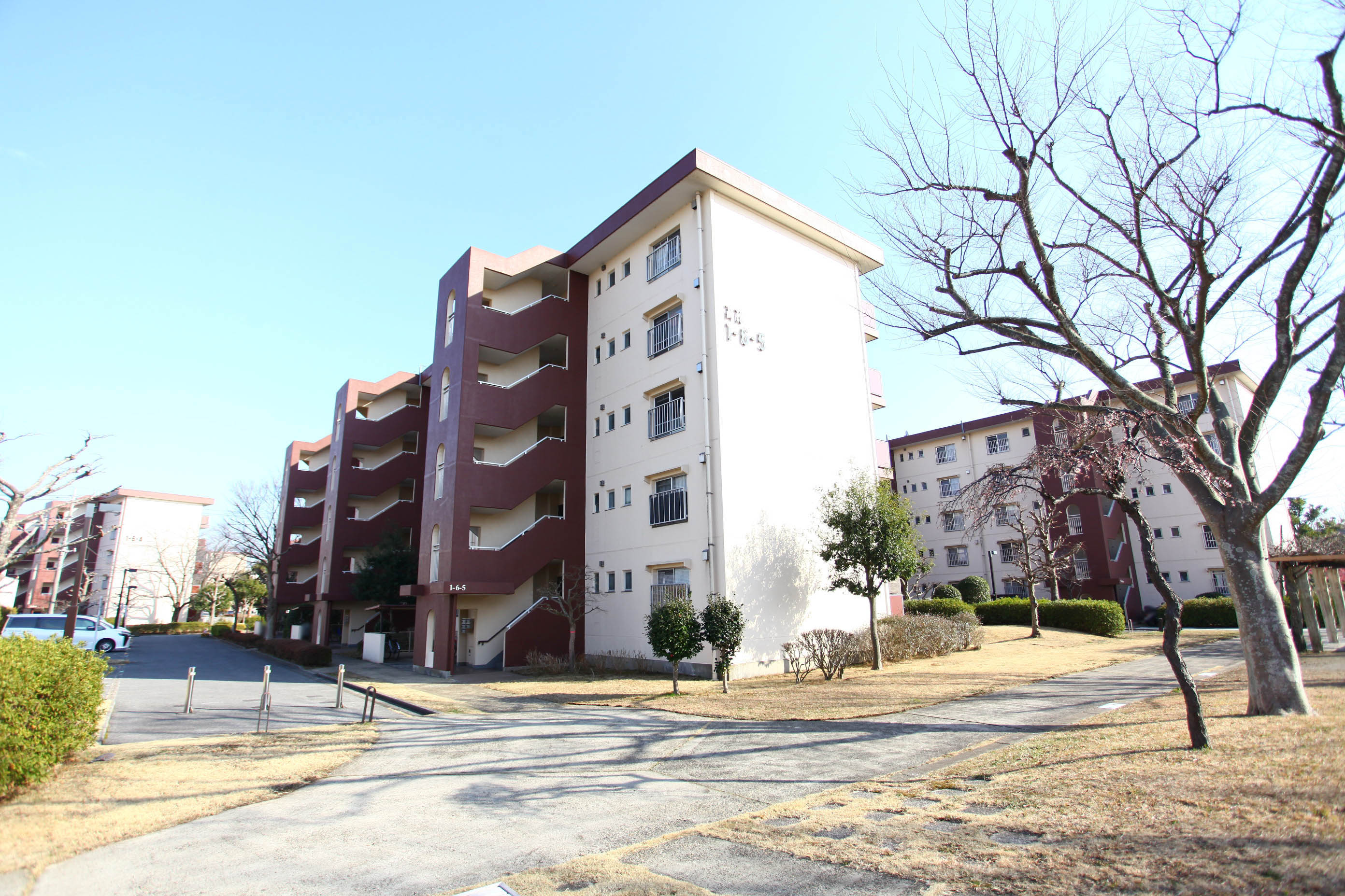 千葉県印西市にあるUR賃貸住宅 千葉ニュータウン高花の周辺写真 2/6