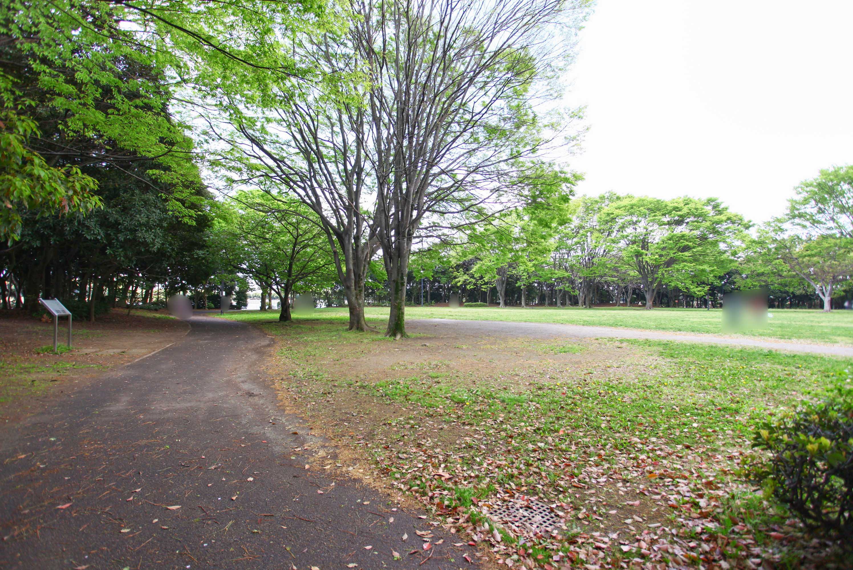 千葉県習志野市にあるUR賃貸住宅 谷津パークタウン弐番街の周辺写真 2/7