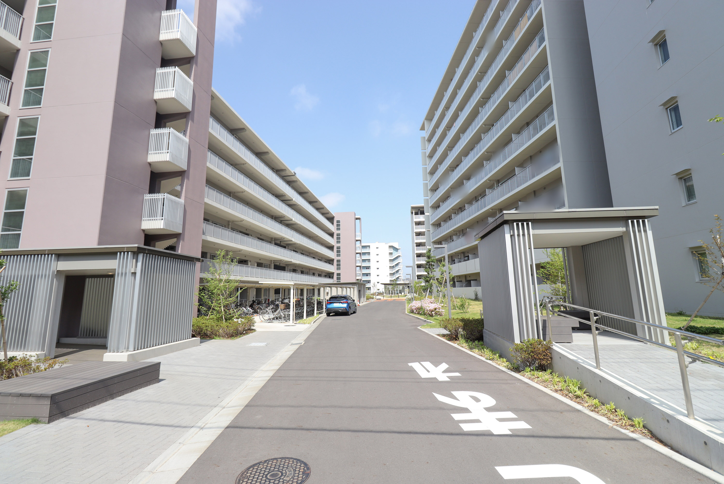 柏 市 豊 四季