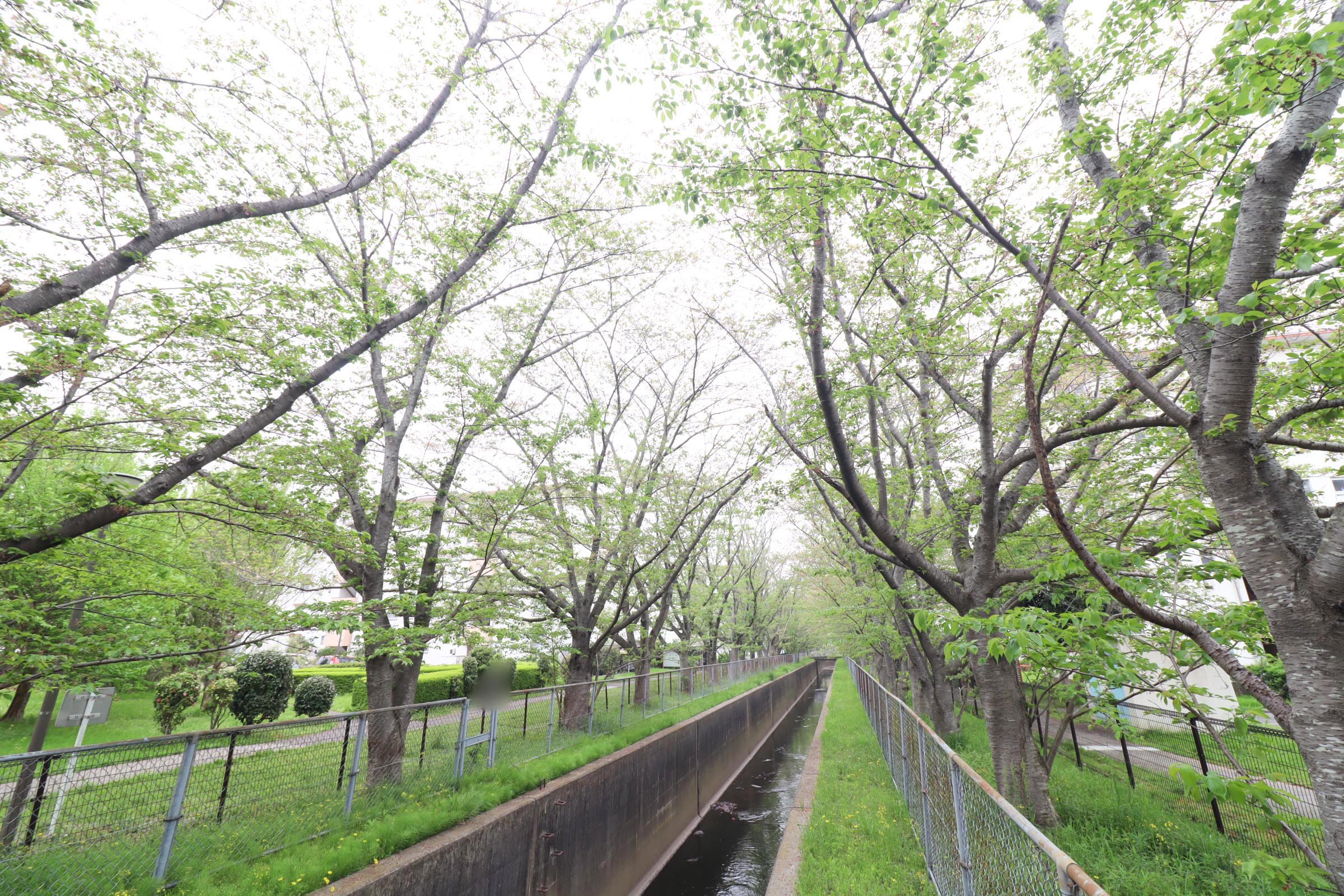 茨城県取手市にあるUR賃貸住宅 取手井野第二の周辺写真 4/11