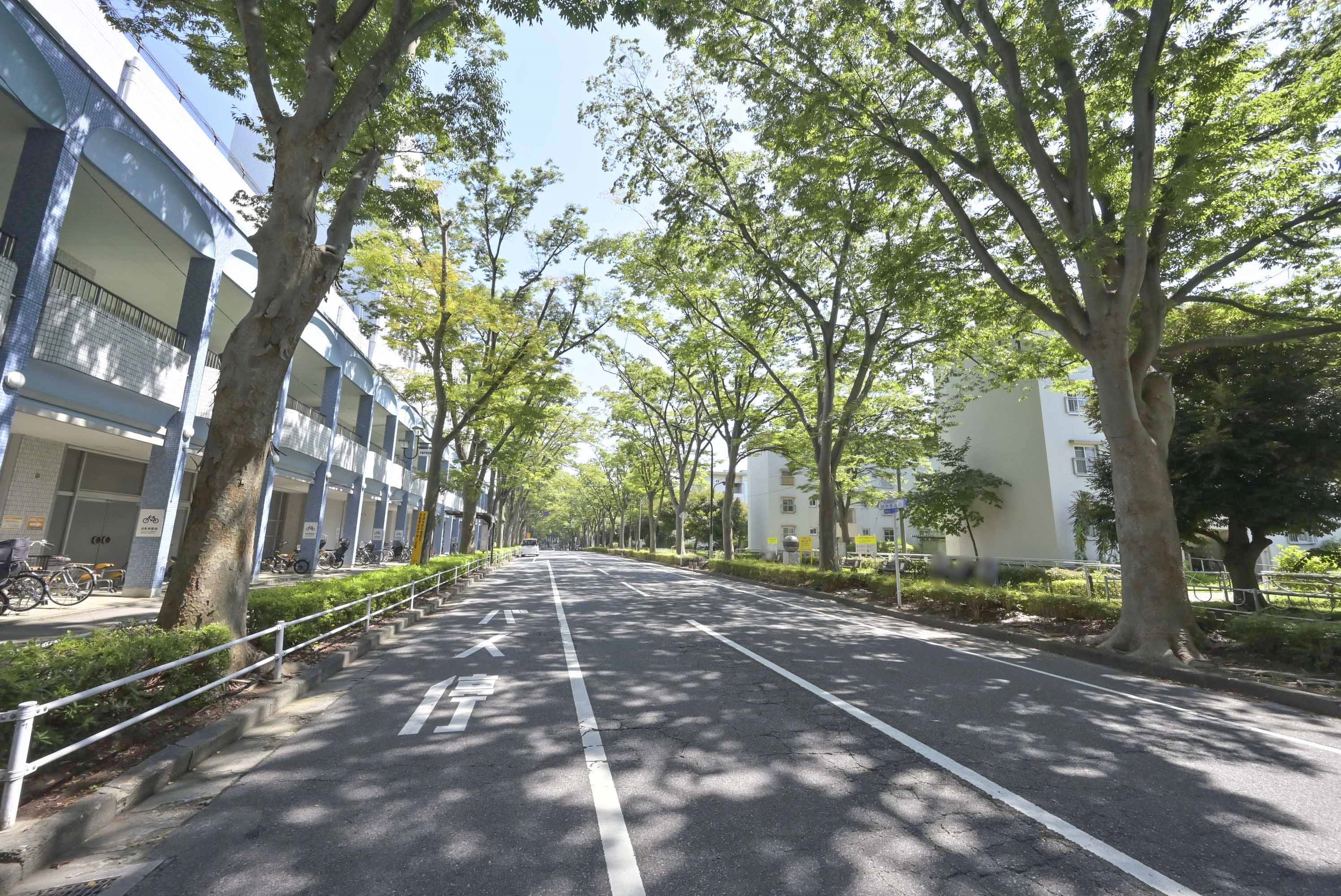 常盤平（千葉県）の賃貸物件｜UR賃貸住宅