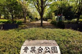 apartment 朝霞市膝折町2-9

住棟配置図