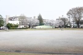 apartment 所沢市緑町4-28ほか

住棟配置図