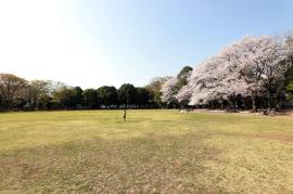 apartment 鶴ヶ島市富士見1-14-3

住棟配置図