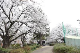 apartment 所沢市緑町1-16-9

住棟配置図
