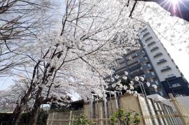 apartment 川越市伊勢原町5-5-12

住棟配置図