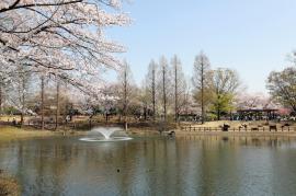 apartment 川越市伊勢原町5-5-12

住棟配置図