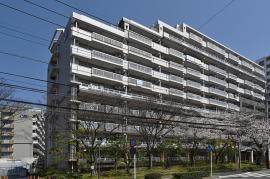 apartment 春日市日の出町3丁目1番1 ほか

住棟配置図