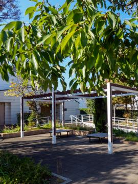 apartment 茨木市橋の内二丁目7番

住棟配置図