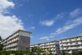 apartment 和泉市光明台三丁目1番、7番

住棟配置図