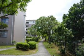 apartment 和泉市光明台三丁目1番、7番

住棟配置図