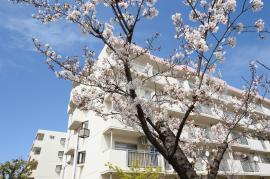 apartment 泉大津市助松団地2番

住棟配置図