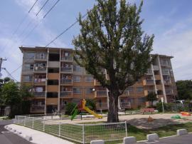 apartment 泉大津市助松団地1番・2番・3番、和泉市富秋町三丁目11番

住棟配置図