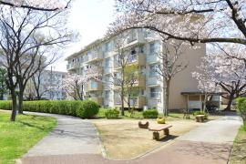 apartment 泉大津市助松団地1番・2番・3番、和泉市富秋町三丁目11番

住棟配置図