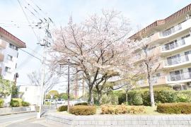 apartment 春日市春日公園1丁目 ほか

住棟配置図