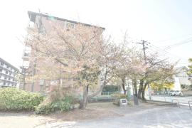 apartment 春日市春日公園1丁目 ほか

住棟配置図