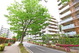 apartment 船橋市前原西6-1

住棟配置図