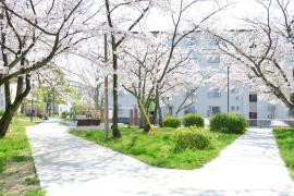 apartment 富田林市高辺台、久野喜台、寺池台

住棟配置図