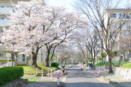 apartment 富田林市高辺台、久野喜台、寺池台

住棟配置図