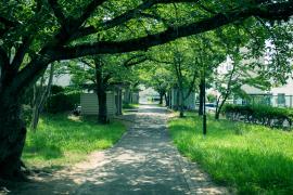 apartment 富田林市高辺台、久野喜台、寺池台

住棟配置図