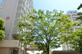 apartment 豊中市北緑丘一丁目2番、二丁目1番

住棟配置図