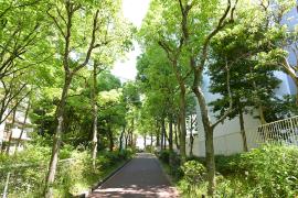 apartment 豊中市北緑丘一丁目2番、二丁目1番

住棟配置図