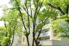 apartment 高槻市牧田町1番 他

住棟配置図