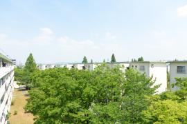 apartment 高槻市牧田町1番 他

住棟配置図