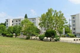 apartment 高槻市牧田町1番 他

住棟配置図