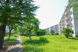 apartment 高槻市牧田町1番 他

住棟配置図