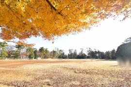 apartment 松戸市常盤平2ほか

住棟配置図