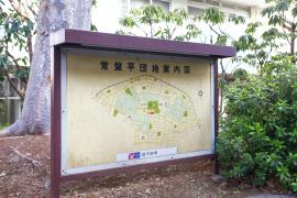 apartment 松戸市常盤平2ほか

住棟配置図